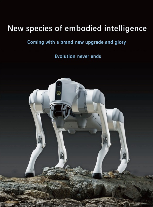 Boston Dynamics AI Robot Security Dog User Manual - Dog and Robot